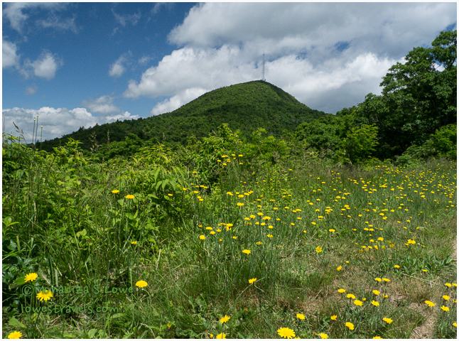 Mount Pisgah