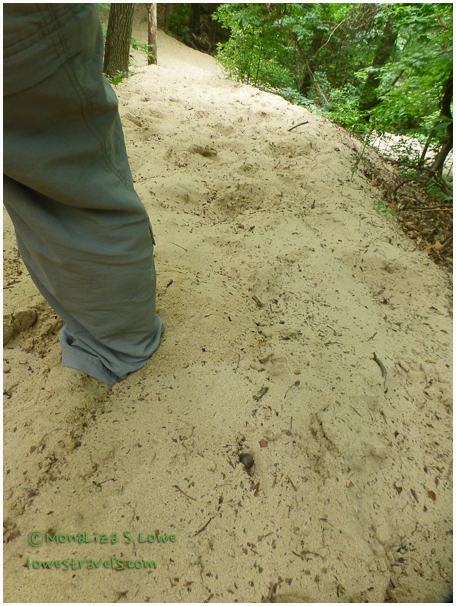 Indiana Dunes State Park