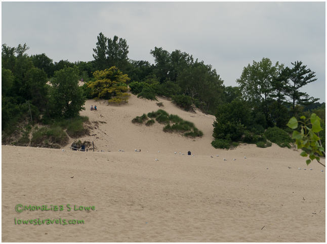 Indiana Dunes State Park