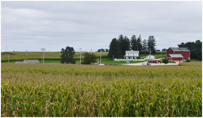 Field of Dreams