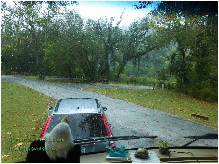 Buffalo Point Campground, Yellville, AR