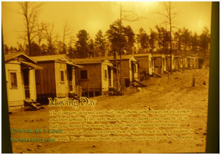 Travelling Timber Town