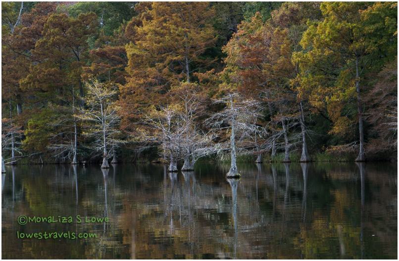 Mountain Fork River, Beavers Bend State Park