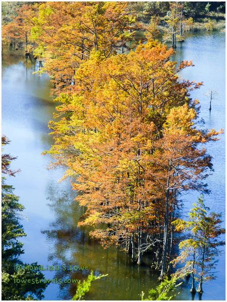View from Cedar Bluff Trail