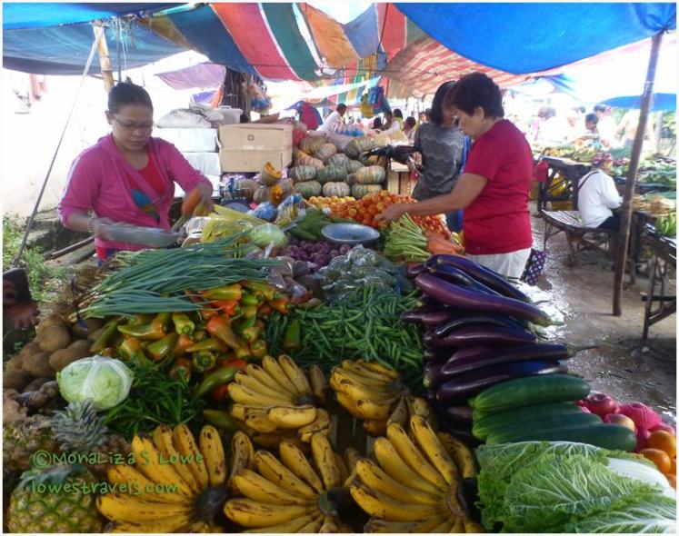 Farmers Market in Moalboal