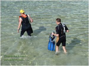 Scuba Diving in Moalboal