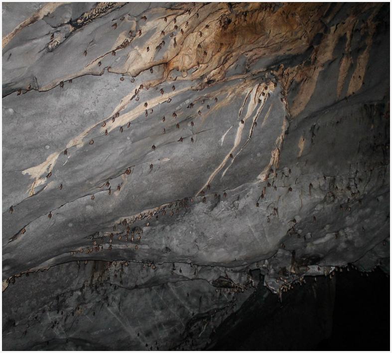 Puerto Princesa Subeterranean River and Cave