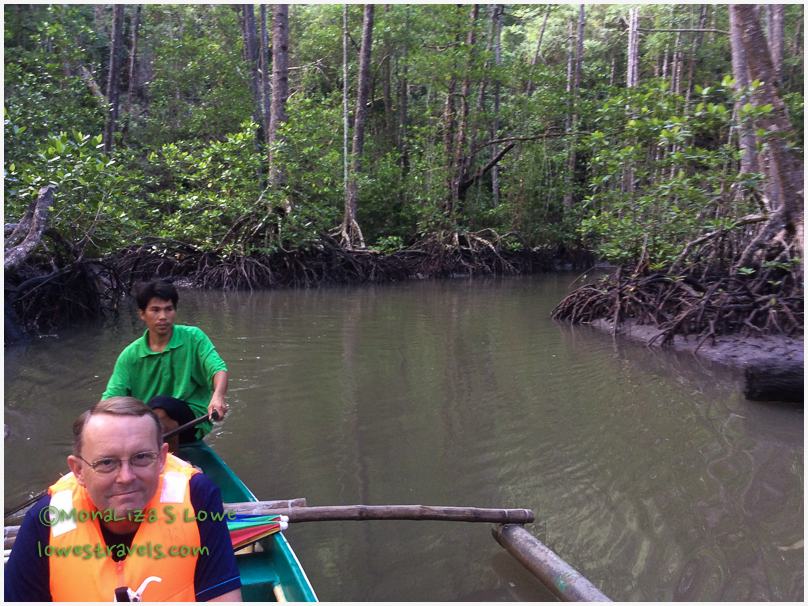 Mangrove Paddle Tour
