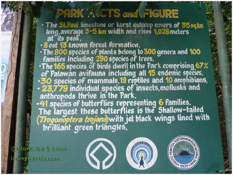 Puerto Princesa Jungle Trail