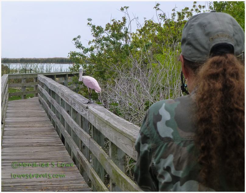 Leonabell Turnbull Birding Center