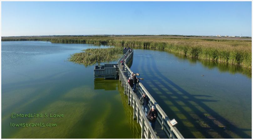 Leonabelle Birding Center