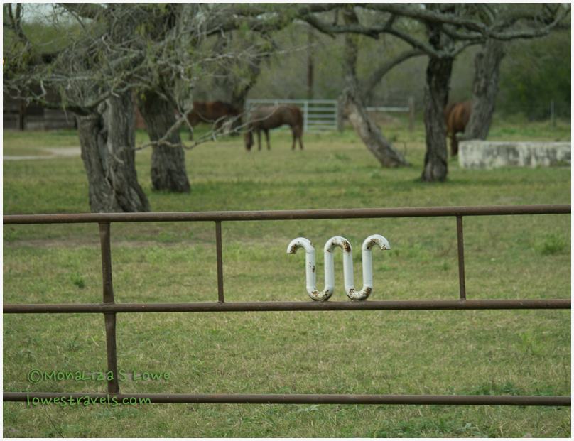 King Ranch