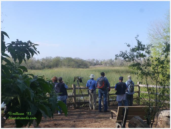 Santa Ana Wildlife Refuge