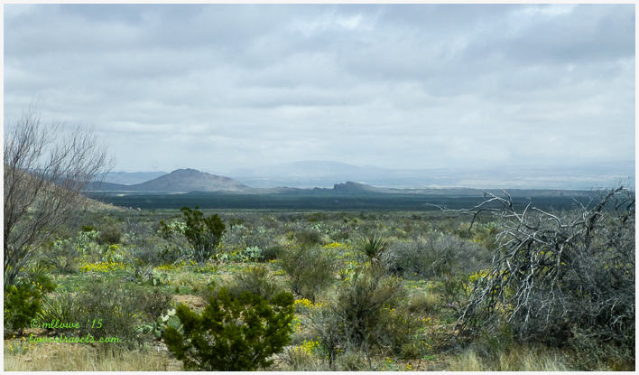 A Sneak Preview of Big Bend National Park