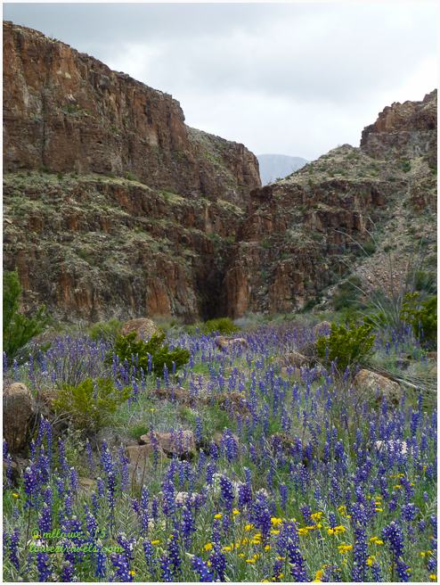Closed Canyon