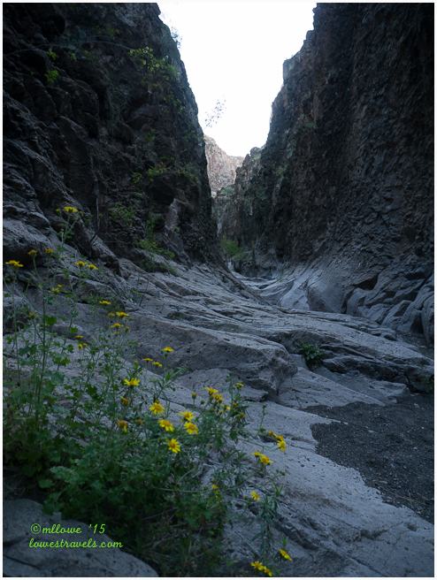 Closed Canyon