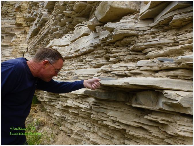 Limestone rock layers