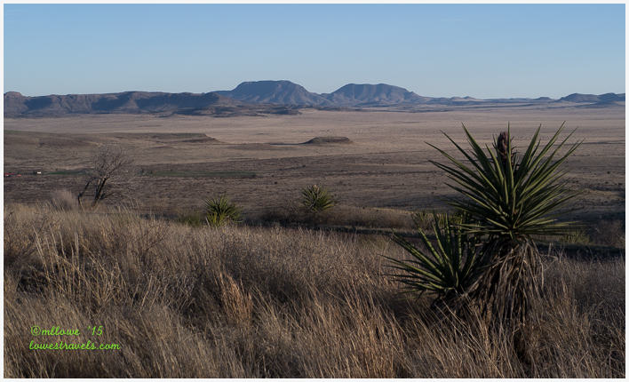 Grasslands
