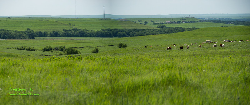 Flint Hills