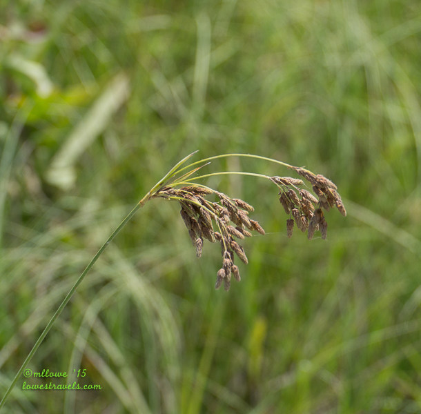 2015-06-19-KS-1640319