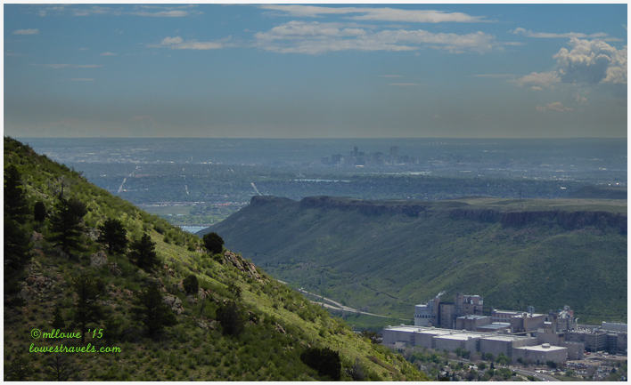 Mt Galbraith LoopTrail