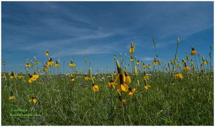 Tallgrass Prairie National Preserve