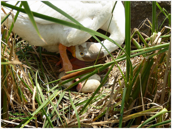 Looking for fun in Omaha, Nebraska