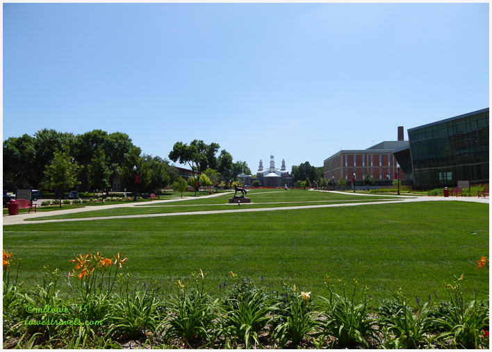 University of South Dakota