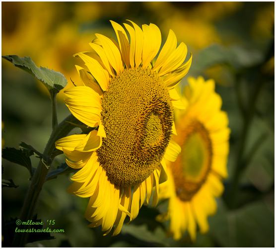 The Backroads and Byways of North Dakota
