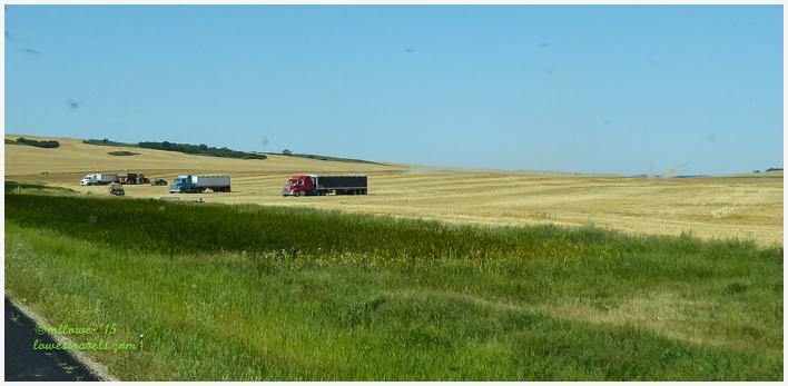 Wheat Harvesting in North Dakota