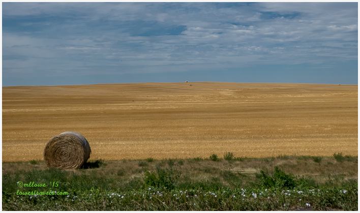Wheat Farm along Enchanted Highway, ND