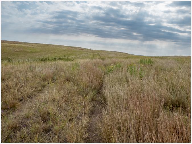Theodore Roosevelt Wilderness