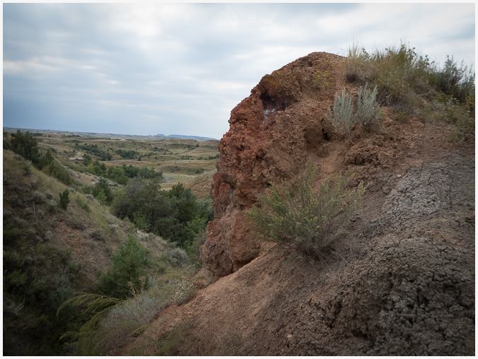 Theodore Roosevelt National Park