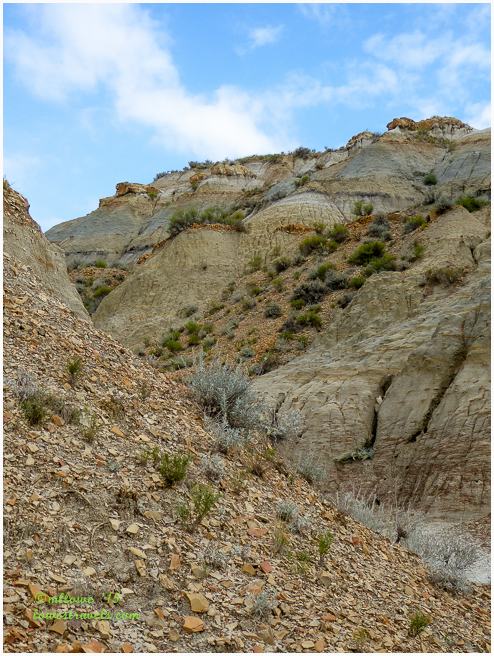 Theodore Roosevelt NP