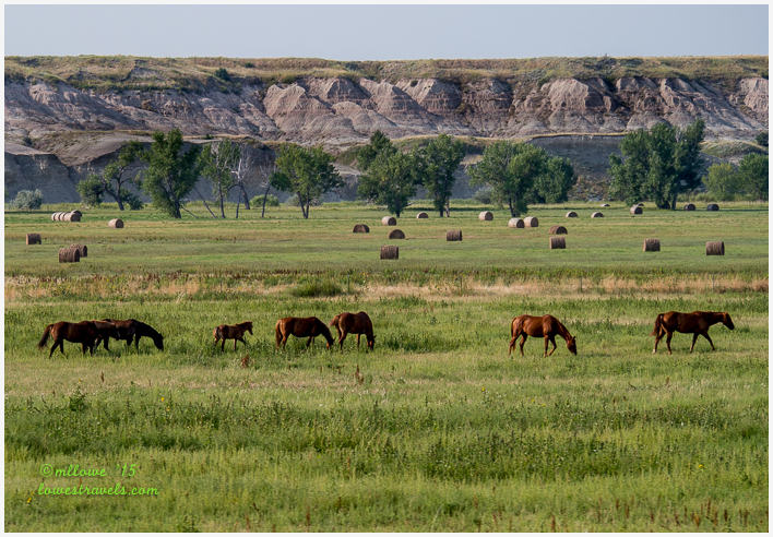 Badlands National Park