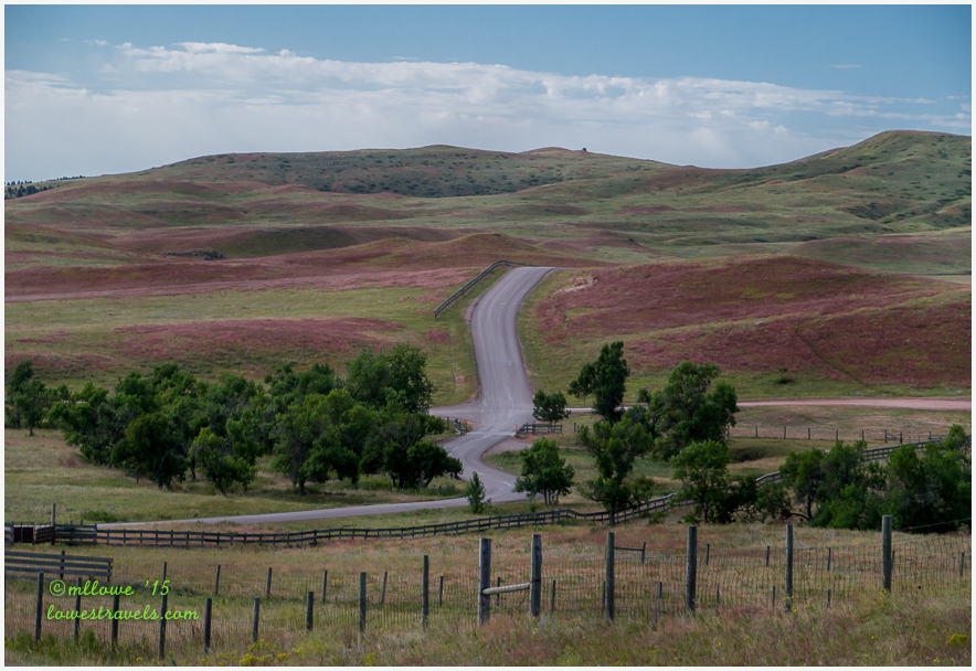 Custer State Park
