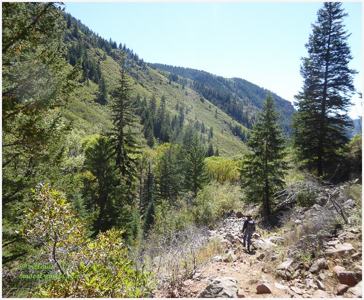 Jess Weaver Trail