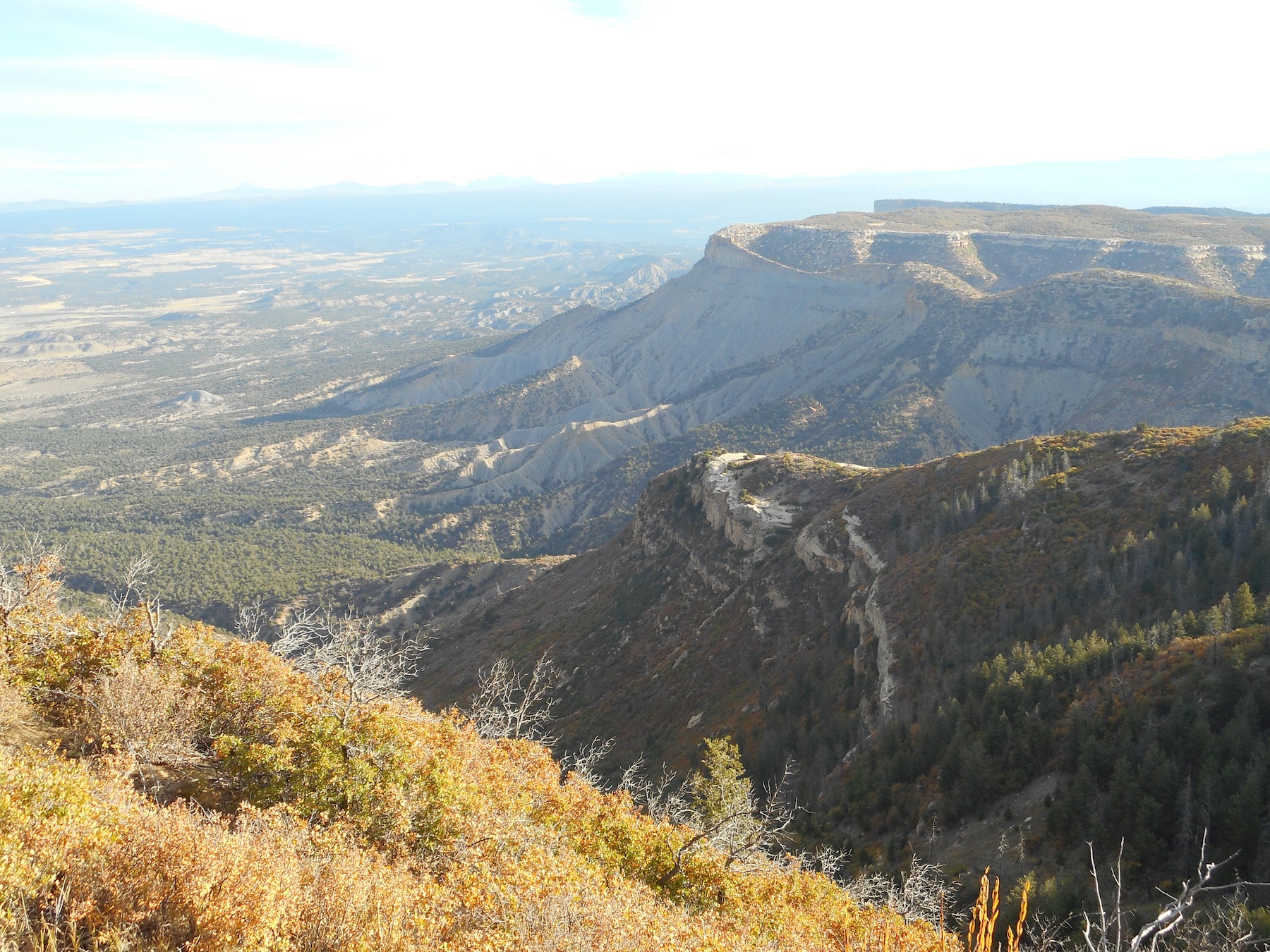 Mesa Verde