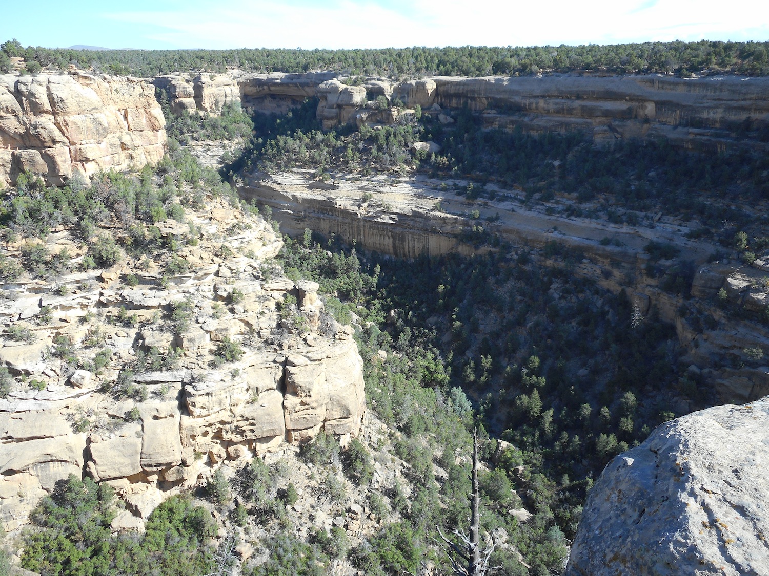 Mesa Verde