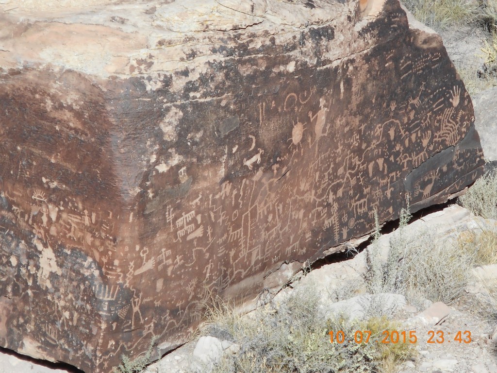 Petrified Forest