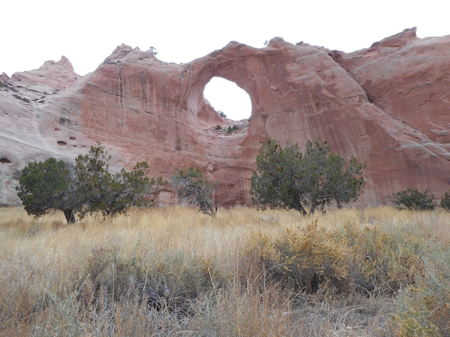 Window Rock