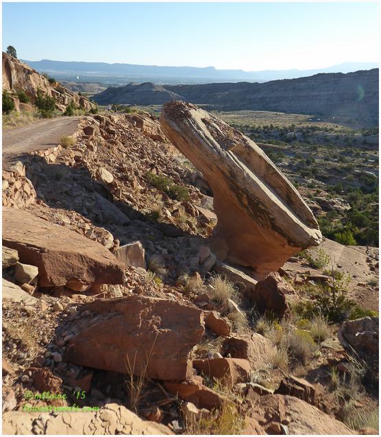 Serpents Trail