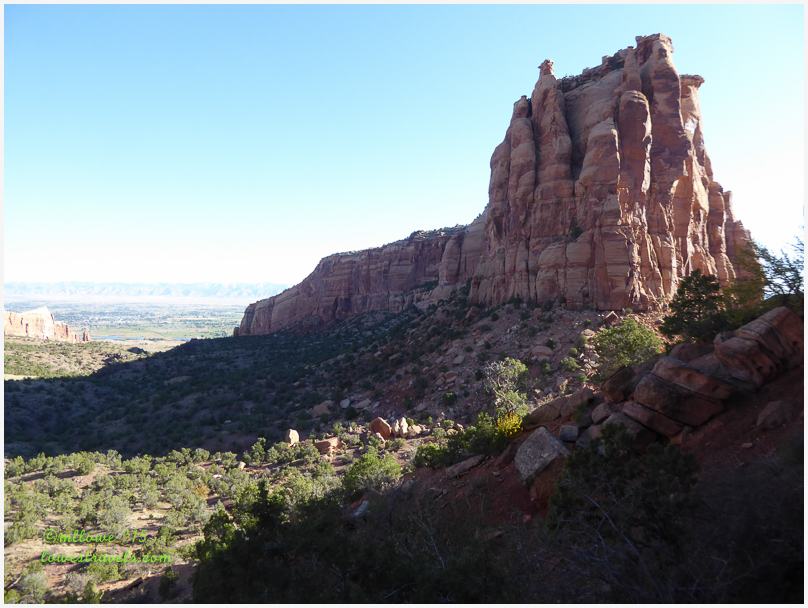 Organ Pipe Formation