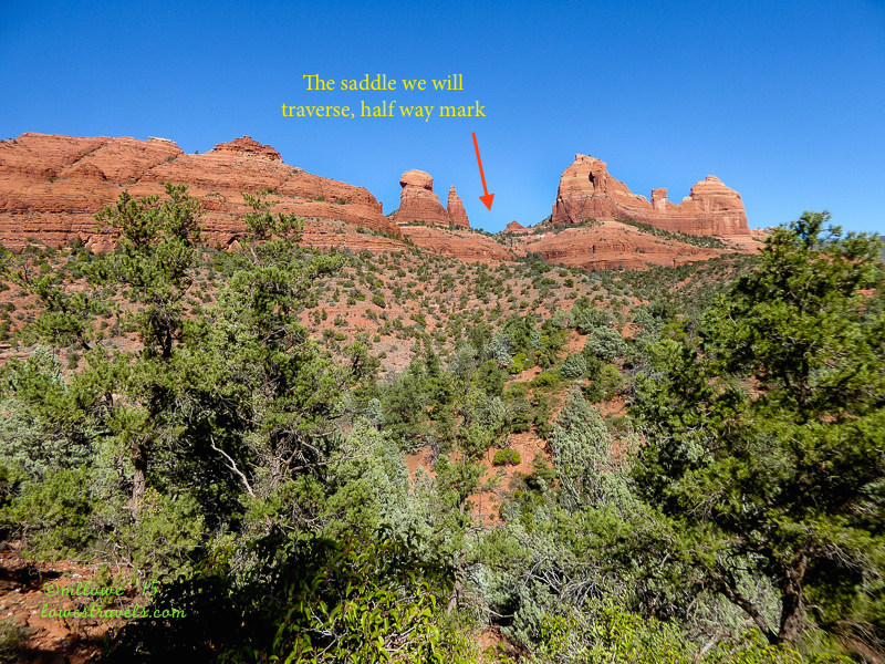 2015-11-02-AZ-1290455