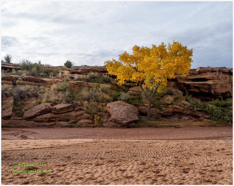 Canyon de Chelly