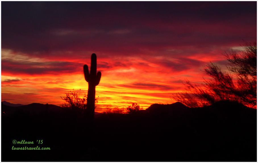 2015-12-06-AZ-1330029.jpg