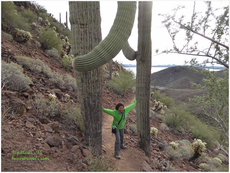 Yavapai Trail