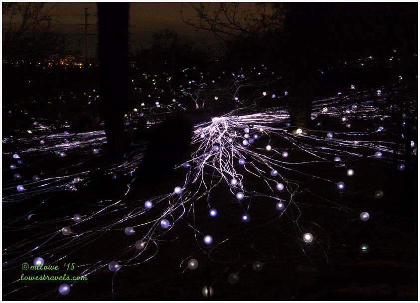 Field of Light Bruce Munro