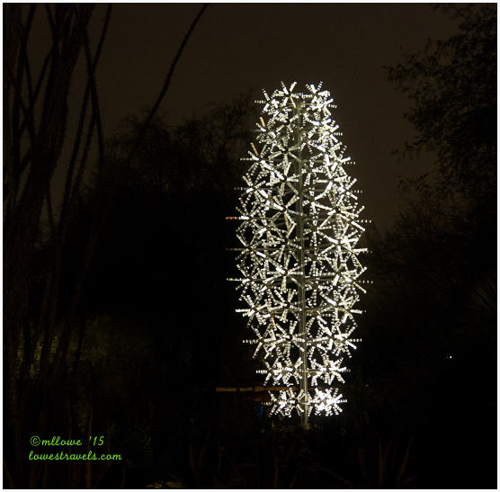 Saguaro light