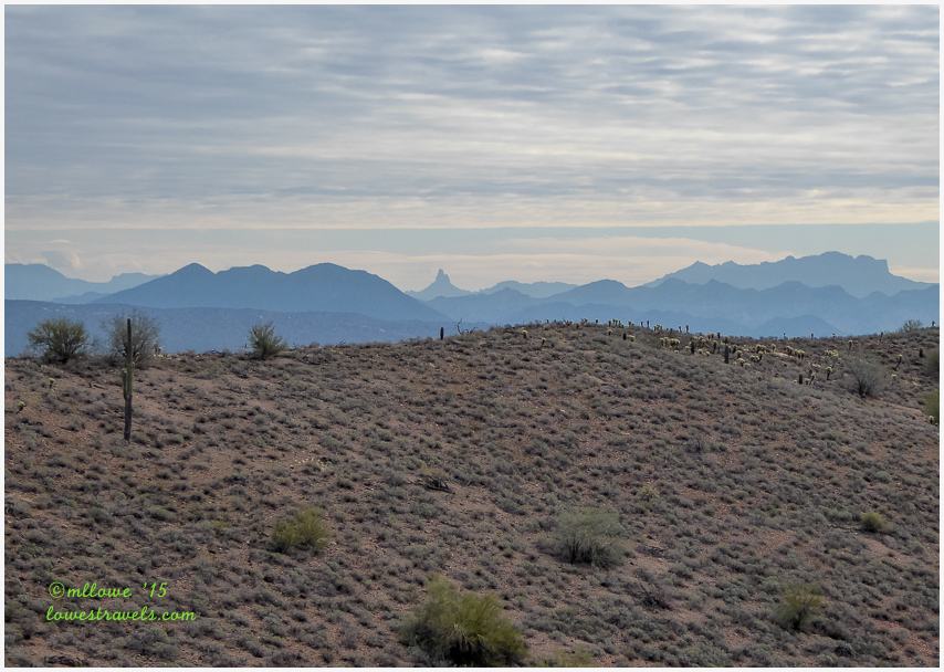 Weavers Needle
